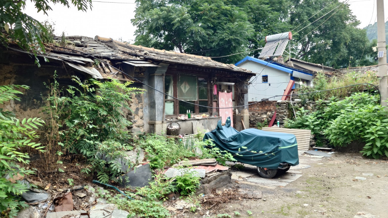 An overgrown and partially deteriorated village house in Nanjiao