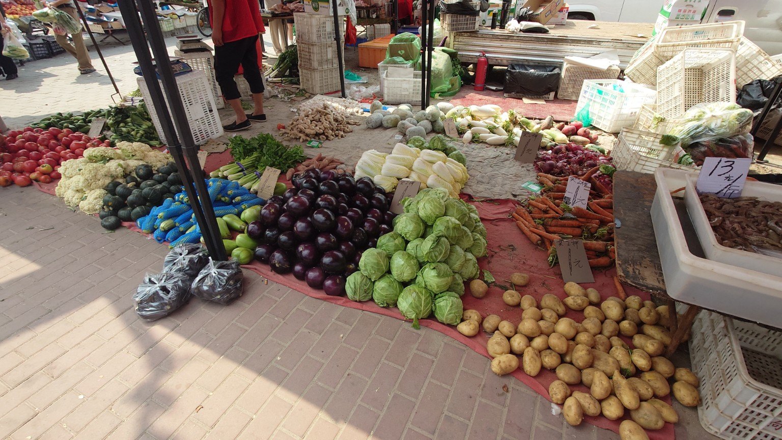 Heaps of eggplants, cabbages, potatoes, carrots and other vegetables displayed with handwritten prices at Shahe Daji