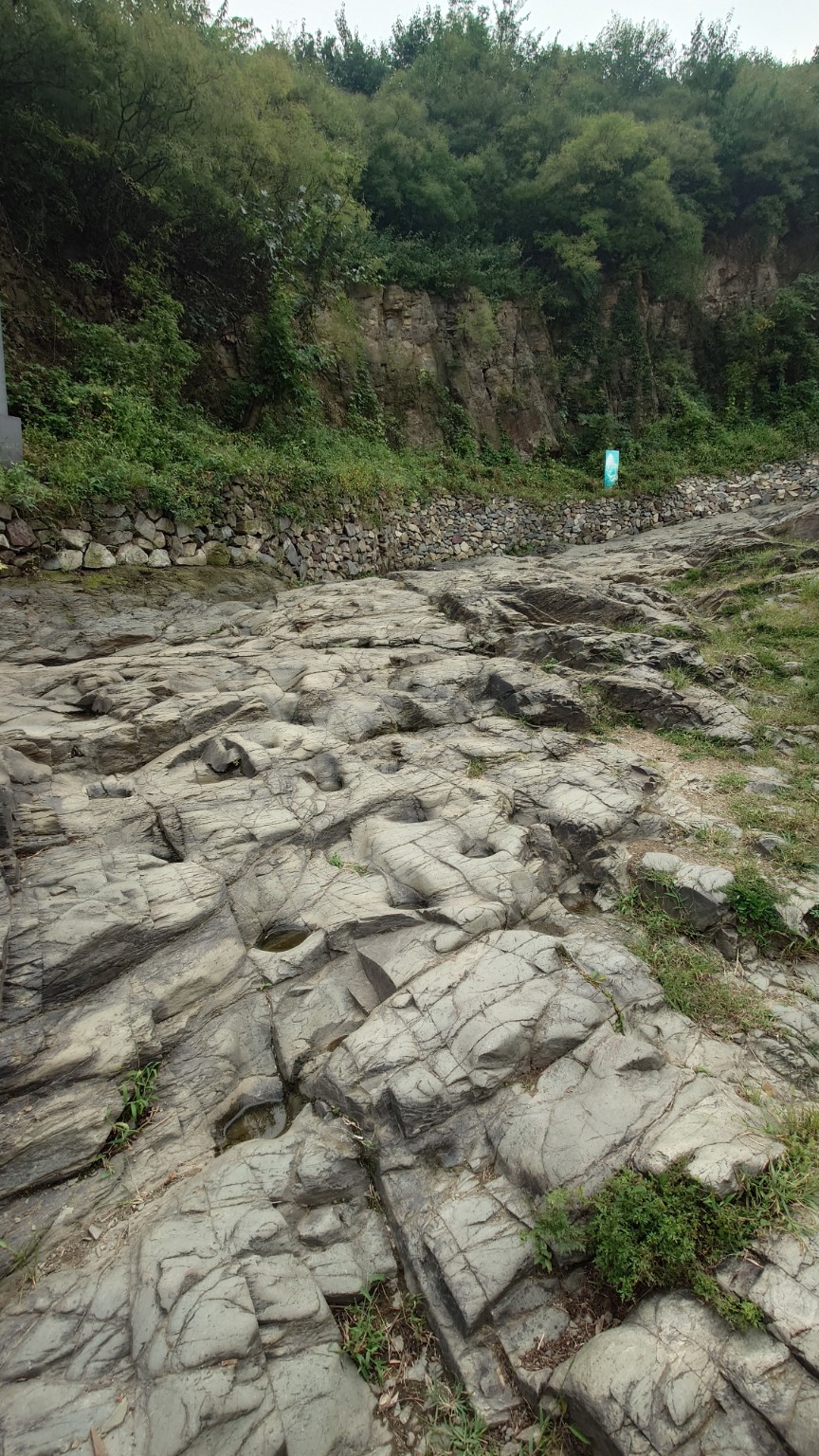 A vertical view up an exposed Jingxi Trail bedrock surface marked by hoof hollows